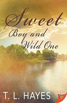 portada Sweet Boy and Wild One