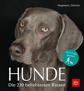 portada Hunde: Die 230 Beliebtesten Rassen (en Alemán)