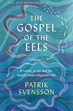portada The Gospel of the Eels: A Father, a son and the World'S Most Enigmatic Fish (in English)