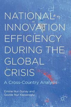 portada National Innovation Efficiency During the Global Crisis: A Cross-Country Analysis (en Inglés)