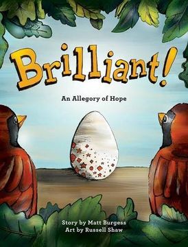 portada Brilliant!: An Allegory of Hope (About Adoption & Fostering) with behind-the-scenes pictorial guide