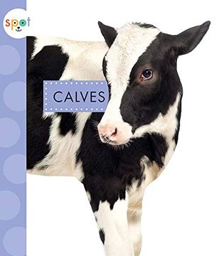 portada Calves (Spot Baby Farm Animals) (en Inglés)