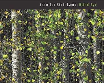 portada Jennifer Steinkamp: Blind eye (en Inglés)