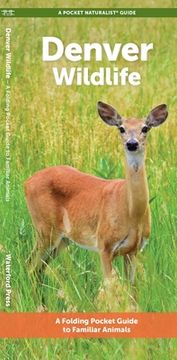 portada Denver Wildlife: A Folding Pocket Guide to Familiar Animals (in English)