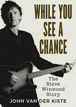 portada While You See a Chance: The Steve Winwood Story (in English)