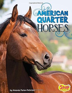 portada American Quarter Horses (Horse Breeds)