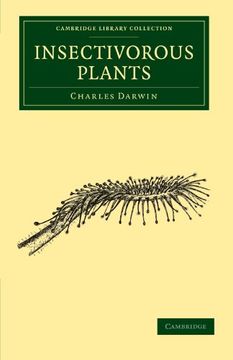 portada Insectivorous Plants Paperback (Cambridge Library Collection - Darwin, Evolution and Genetics) (en Inglés)