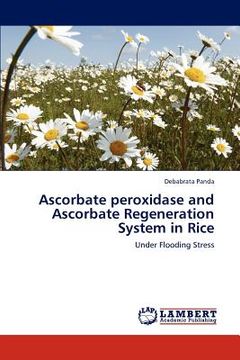 portada ascorbate peroxidase and ascorbate regeneration system in rice (in English)