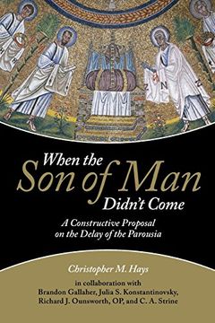 portada When the Son of Man Didn't Come: A Constructive Proposal on the Delay of the Parousia