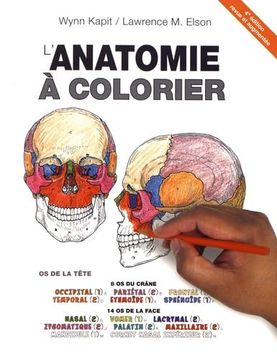 portada L'anatomie à Colorier (en Inglés)