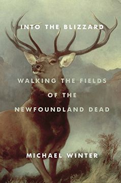 portada Into the Blizzard: Walking the Fields of the Newfoundland Dead (en Inglés)
