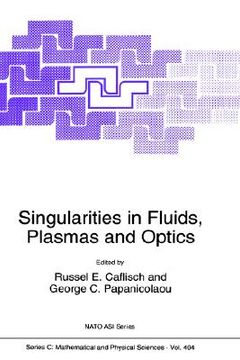 portada singularities in fluids, plasmas and optics (in English)
