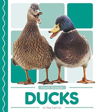 portada Ducks (Pond Animals) (en Inglés)