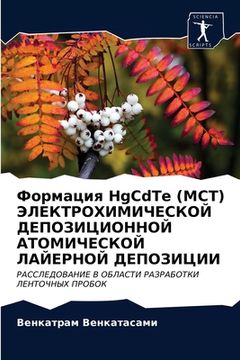 portada Формация HgCdTe (MCT) ЭЛЕКТРОХИМИ&#1 (en Ruso)