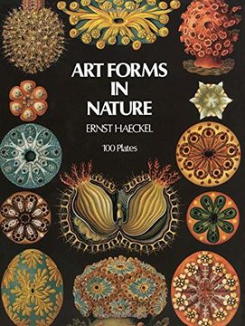 portada Art Forms in Nature (Dover Pictorial Archive) (en Inglés)
