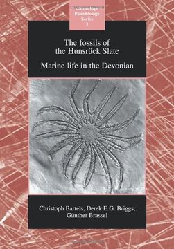 portada The Fossils of the Hunsruck Slate: Marine Life in the Devonian (Cambridge Paleobiology Series) (en Inglés)