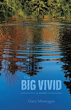 portada The big Vivid (in English)