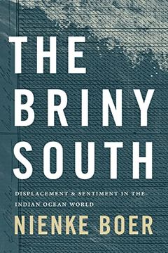 portada The Briny South: Displacement and Sentiment in the Indian Ocean World (Theory in Forms) (en Inglés)
