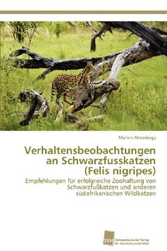 portada Verhaltensbeobachtungen an Schwarzfusskatzen (Felis Nigripes)
