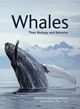 portada Whales: Their Biology and Behavior (in English)
