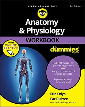 portada Anatomy & Physiology Workbook for Dummies With Online Practice (en Inglés)