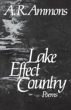 portada lake effect country