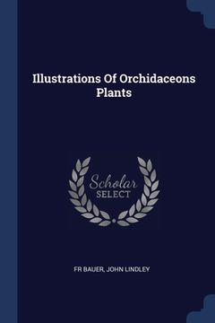 portada Illustrations Of Orchidaceons Plants (en Inglés)
