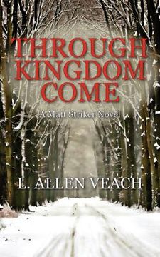 portada through kingdom come: a matt striker novel (in English)