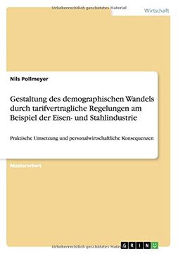portada Gestaltung des demographischen Wandels durch tarifvertragliche Regelungen am Beispiel der Eisen- und  Stahlindustrie (German Edition)