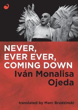 portada Never, Ever Ever, Coming Down (in English)