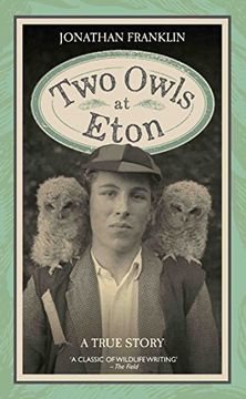 portada Two Owls at Eton