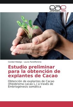 portada Estudio Preliminar Para la Obtención de Explantes de Cacao: Obtención de Explantes de Cacao (Theobroma Cacao l. ) a Través de Embriogénesis Somática (Spanish Edition) (in Spanish)
