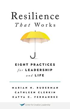 portada Resilience That Works: Eight Practices for Leadership and Life (in English)
