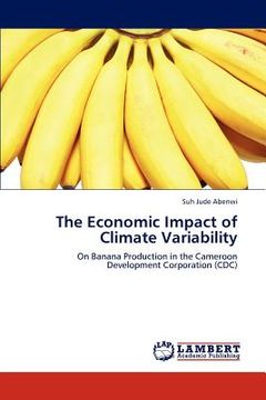 portada the economic impact of climate variability (in English)