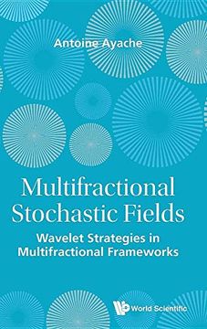 portada Multifractional Stochastic Fields: Wavelet Strategies in Multifractional Frameworks (en Inglés)