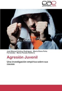 portada Agresión Juvenil: Una investigación empírica sobre sus causas