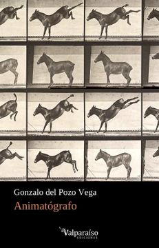 portada Animatógrafo: 193 (Colección Valparaíso de Poesía)