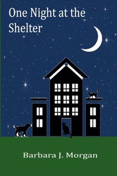 portada One Night at the Shelter