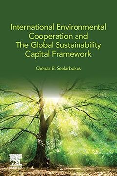 portada International Environmental Cooperation and the Global Sustainability Capital Framework 