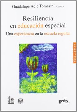 portada Resiliencia en Educacion Especial: Una Experiencia en la Escuela Regular (in Spanish)