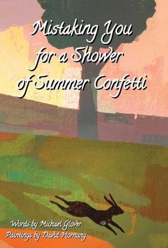 portada Mistaking You for a Shower of Summer Confetti (in English)