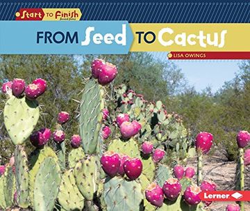 portada From Seed to Cactus (Start to Finish)