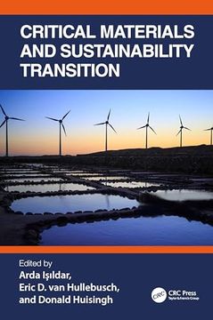 portada Critical Materials and Sustainability Transition