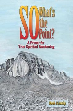 portada So What's The Point?: A Primer for True Spiritual Awakening (en Inglés)