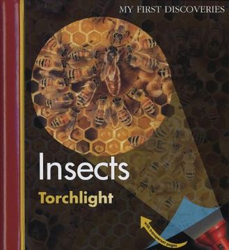 portada Insects (my First Discoveries) (en Inglés)