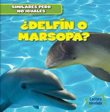 portada ¿Delfín O Marsopa? (Dolphin or Porpoise?)