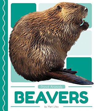 portada Beavers (Pond Animals) (en Inglés)