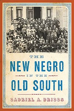 portada New Negro in the Old South (The American Literatures Initiative)
