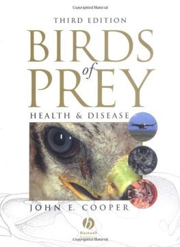 portada Birds of Prey: Health and Disease