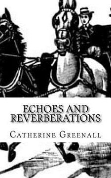 portada Echoes and Reverberations: A Collection of Short Stories (in English)